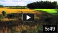 Old Marsh Golf Club In Palm Beach Gardens, The Environmental Challenge That Became An Audubon Sanctuary, written by Pete Dye